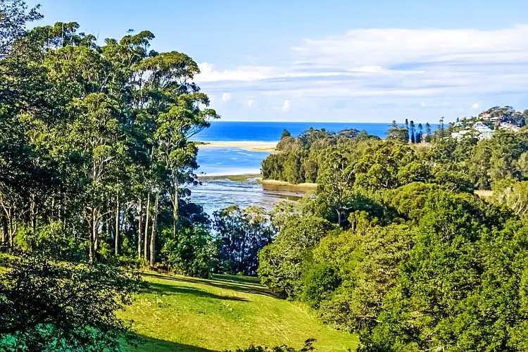 Fifth view of Homely rural property listing, 320 Scenic Highway, Terrigal NSW 2260