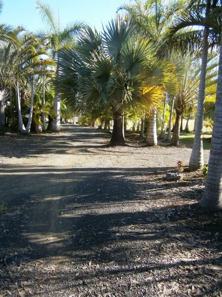 Seventh view of Homely land listing, 493 - 507 Pacific Haven Dr, Pacific Haven QLD 4659