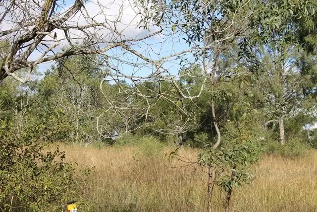 Sixth view of Homely land listing, 75 Poplar Street, Walloon QLD 4306