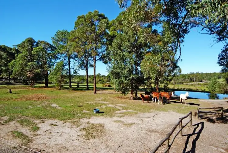 Sixth view of Homely rural property listing, 316b Pine Forest Road, Tomerong NSW 2540