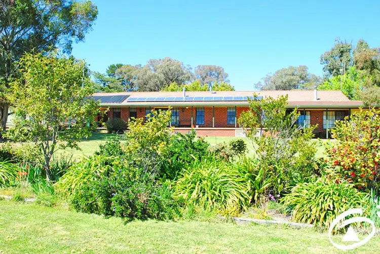 Main view of Homely rural property listing, 229 Convent Lane, Orange NSW 2800