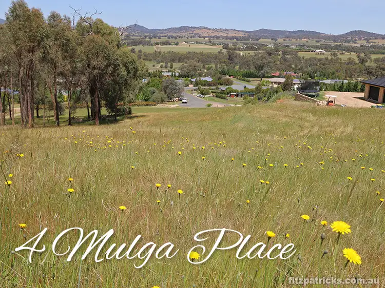 Main view of Homely land listing, 4 Mulga Place, Springvale NSW 2650