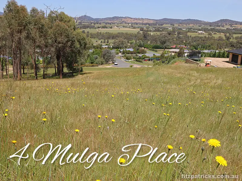 Main view of Homely land listing, 4 Mulga Place, Springvale NSW 2650