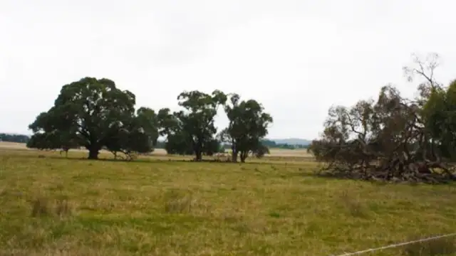 Third view of Homely rural property listing, LOT 6, 7 & C/A/51C Tip Road, Raglan VIC 3373