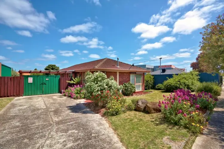 Main view of Homely house listing, 1289 Pascoe Vale Road, Broadmeadows VIC 3047