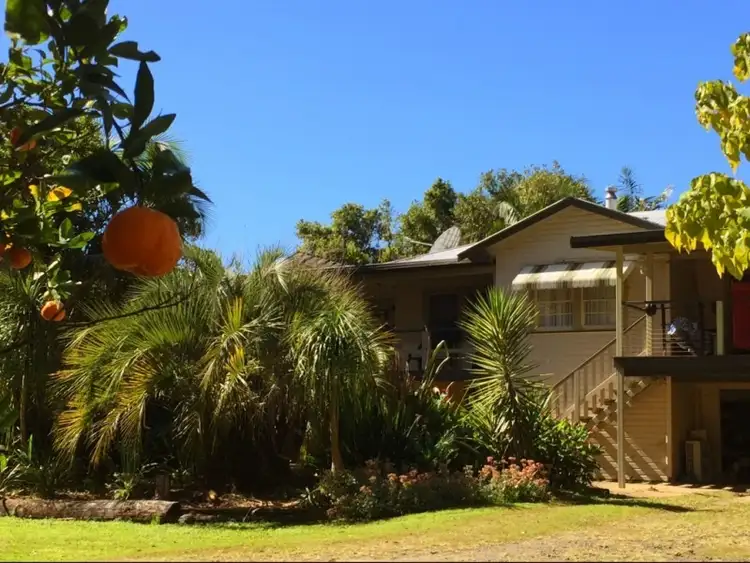 958 Boyle Road, Coffee Camp NSW 2480