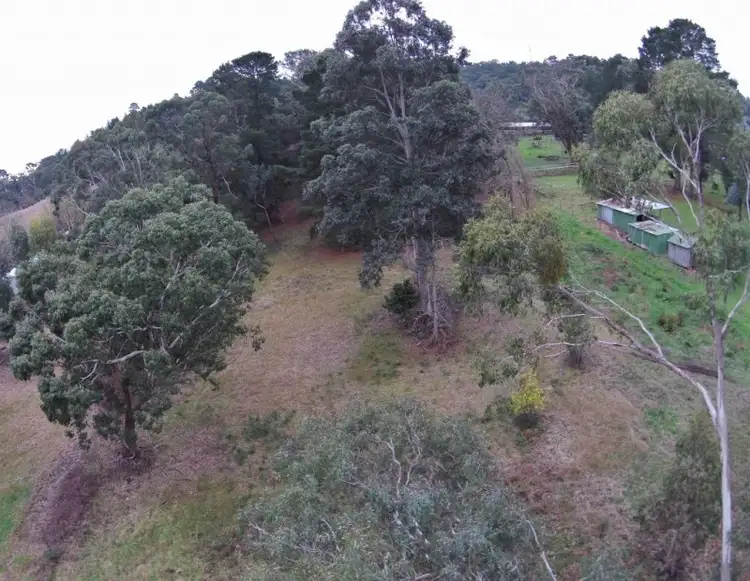 Seventh view of Homely land listing, 99 Airlie Road, Healesville VIC 3777