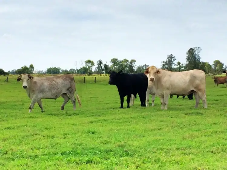 Fifth view of Homely rural property listing, 130 Myall Creek Road, West Coraki NSW 2471