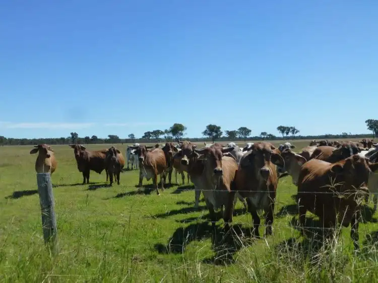 Fourth view of Homely rural property listing, LOT 3 WOODGATE ROAD, Woodgate QLD 4660