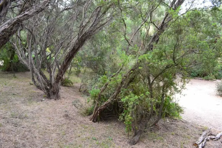 Fourth view of Homely land listing, 3 Sinclair Street, Blairgowrie VIC 3942