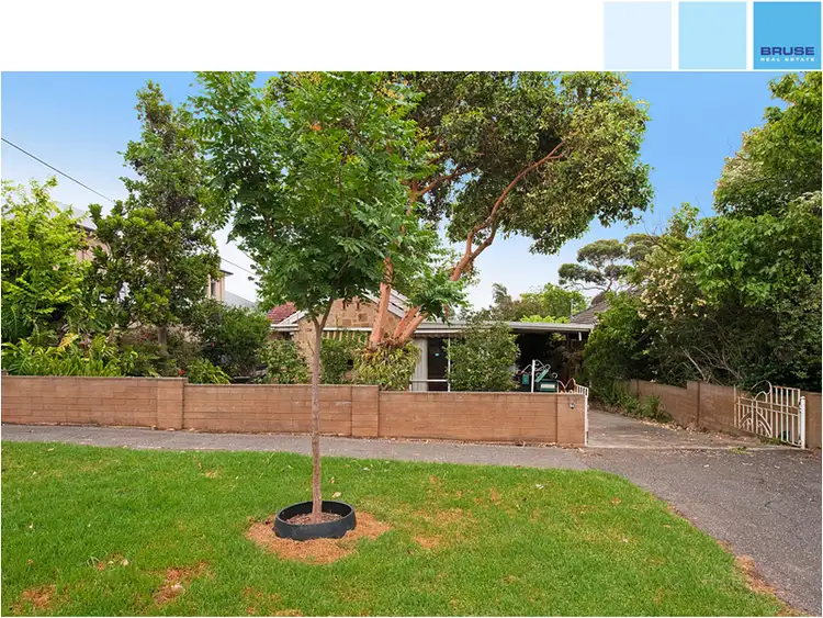 Main view of Homely house listing, 11 Primrose Terrace, Rosslyn Park SA 5072