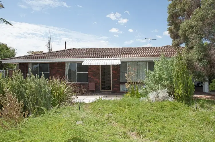 2 Penguin Street, Dianella WA 6059