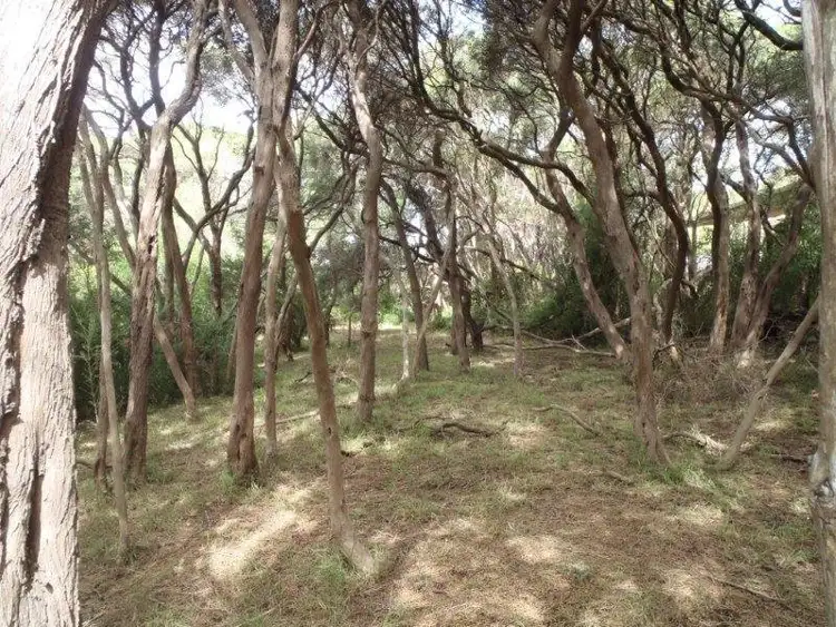 Fifth view of Homely land listing, 29 Evans Street, Rye VIC 3941