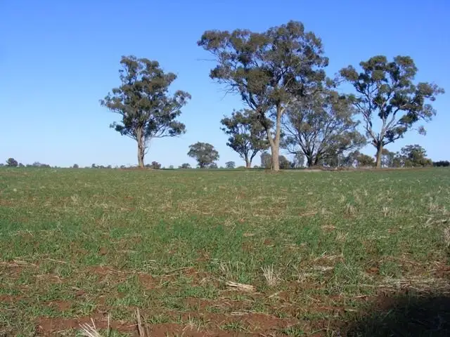 Fourth view of Homely rural property listing, 1376-1386 Centre Road, Moama NSW 2731
