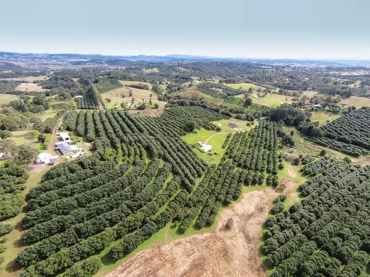 Main view of Homely rural property listing, 102 Muller Road, Tregeagle NSW 2480