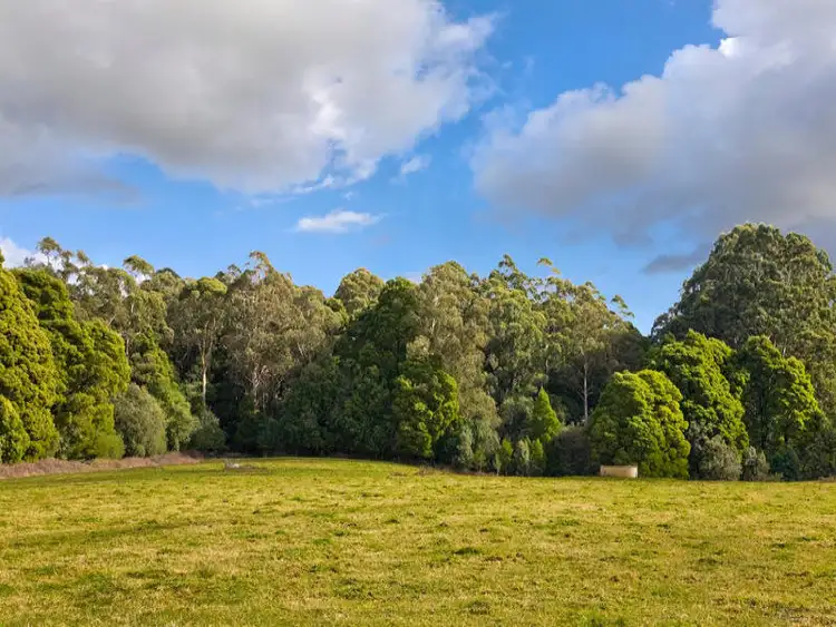 Fifth view of Homely land listing, 3750 Colac Lavers Hill Road, Ferguson VIC 3237