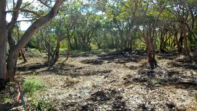 Seventh view of Homely land listing, LOT 615 La Perouse Road, Goode Beach WA 6330