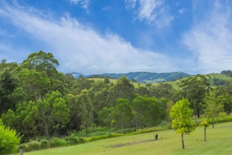 Seventh view of Homely rural property listing, 1351 Monkerai Road, Monkerai NSW 2415