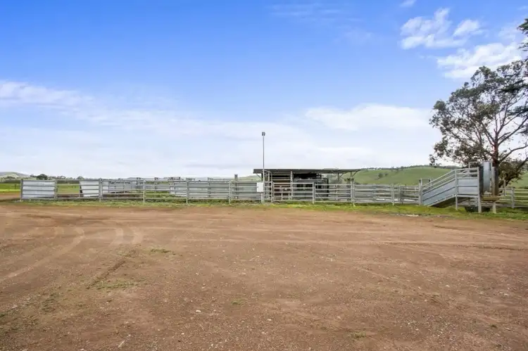 Fourth view of Homely rural property listing, 4175 Melba Highway, Glenburn VIC 3717