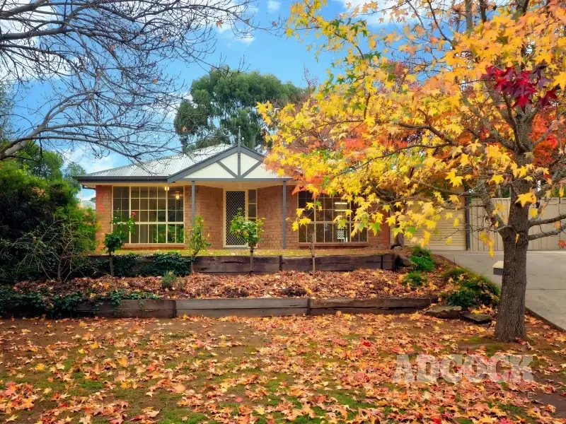 Main view of Homely house listing, 20 Kernutt Court, Mount Barker SA 5251
