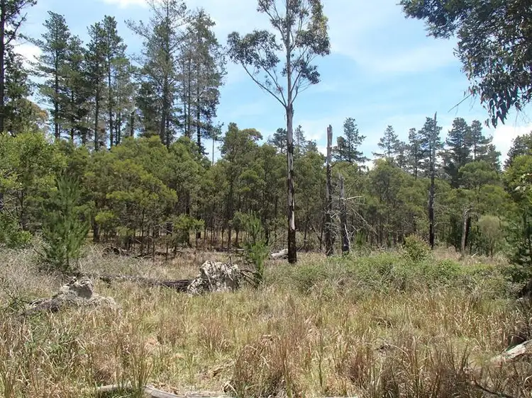 LOT 163 Ironbark Road, Stanthorpe QLD 4380