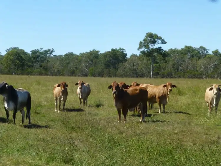 LOT 4 WOODGATE ROAD, Woodgate QLD 4660