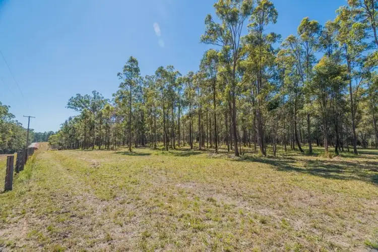 Third view of Homely land listing, 389 Wooli Road, Pillar Valley NSW 2462