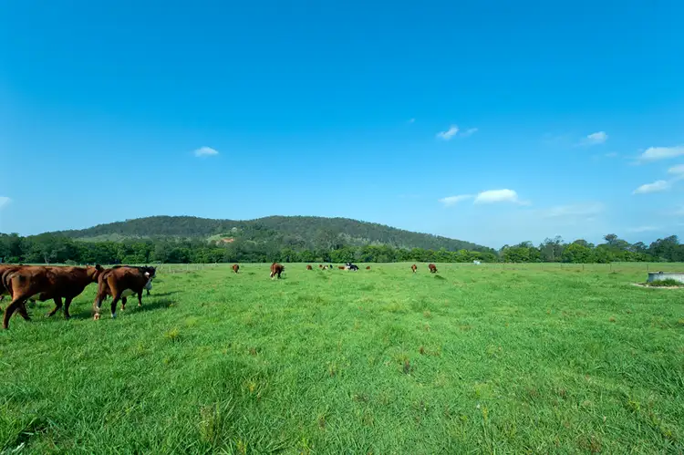 Fourth view of Homely rural property listing, Lot 126 1467 Washpool Road, Stroud NSW 2425