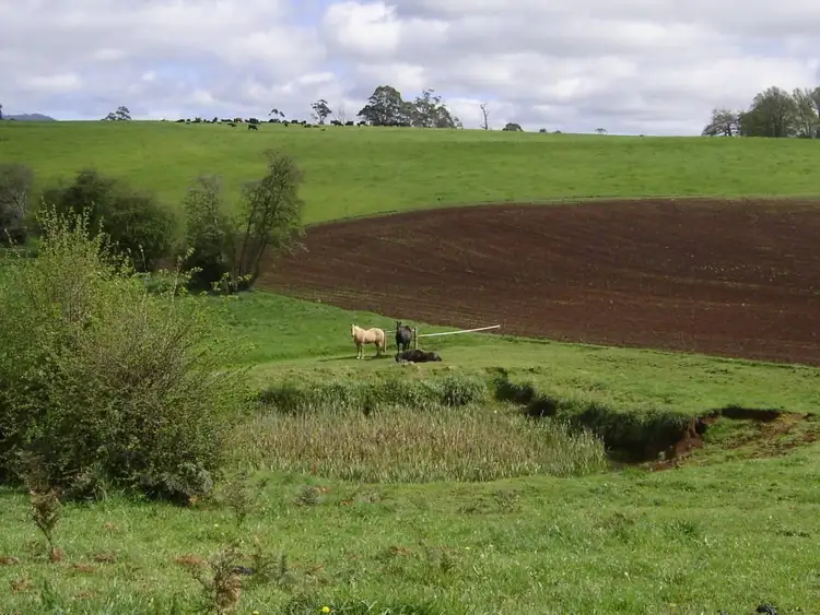 Sixth view of Homely rural property listing, *East Maurice Road, Ringarooma TAS 7263