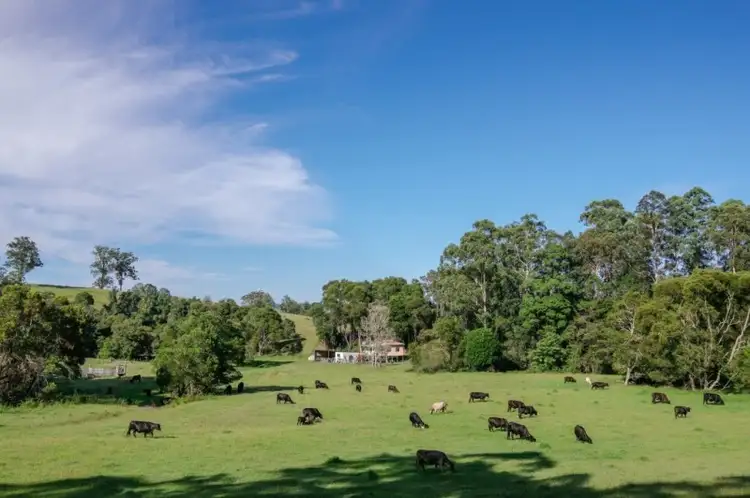 Main view of Homely land listing, 86 Nelsons Road, Dungog NSW 2420
