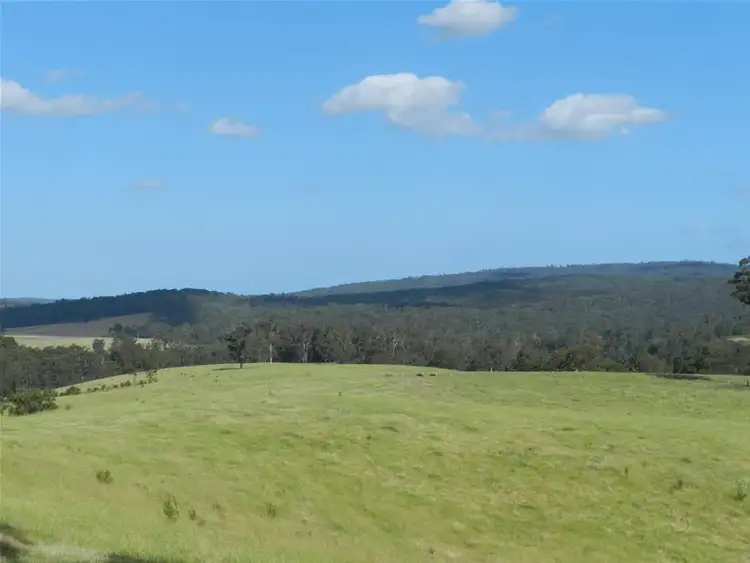 Second view of Homely rural property listing, 29 & 29A Big Creek Road, Bruthen VIC 3885