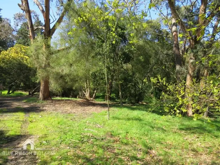 Sixth view of Homely land listing, 307 Eddy Avenue, Mount Helen VIC 3350