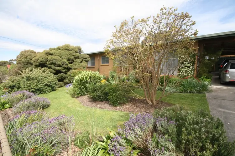 Main view of Homely house listing, 31 Cummins Street, Beaufort VIC 3373