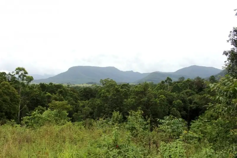 Main view of Homely rural property listing, Share 7/345 Tuntable Falls Road, Nimbin NSW 2480