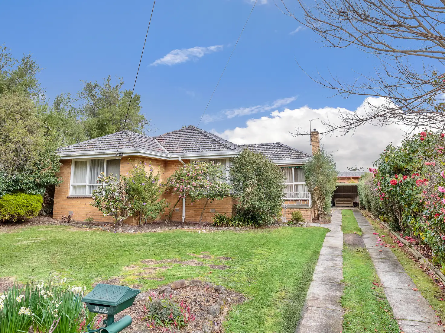 Main view of Homely house listing, 11 Pamela Street, Mount Waverley VIC 3149