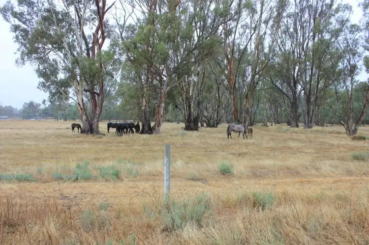 Main view of Homely house listing, 389 East Barham Road, Barham NSW 2732