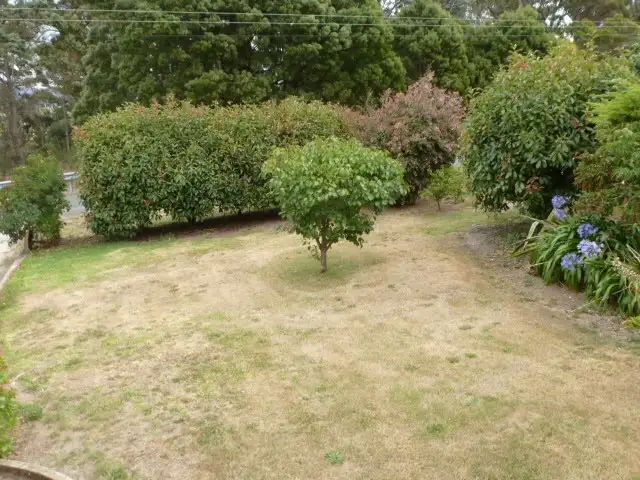 Third view of Homely rural property listing, 35046 Tasman Highway, Scottsdale TAS 7260