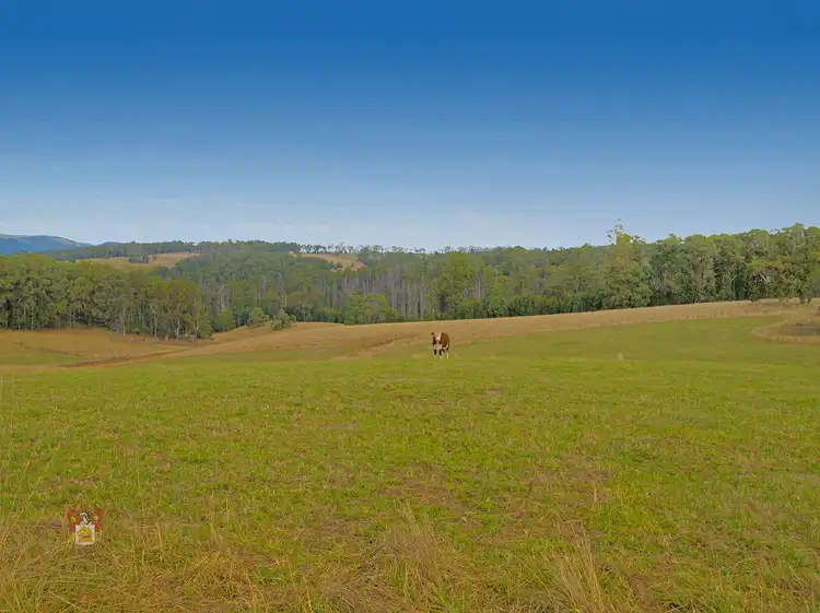 Sixth view of Homely house listing, 42E Murrays Road, Kinglake VIC 3763