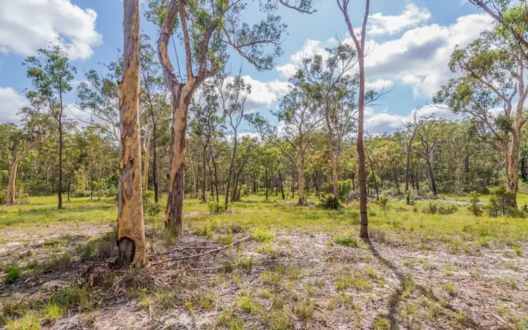 Fifth view of Homely rural property listing, 775 Parker Road, Lanitza NSW 2460