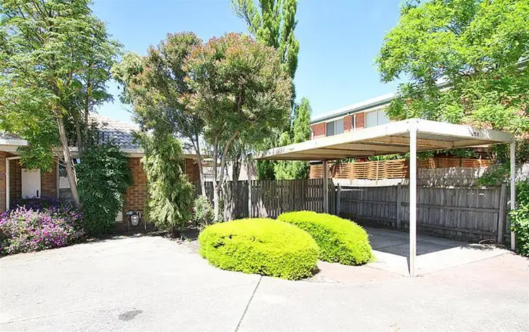 8/81 Rufus Street
