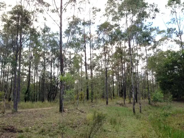 Fifth view of Homely rural property listing, 801 Kangaroo Creek Road, Coutts Crossing NSW 2460