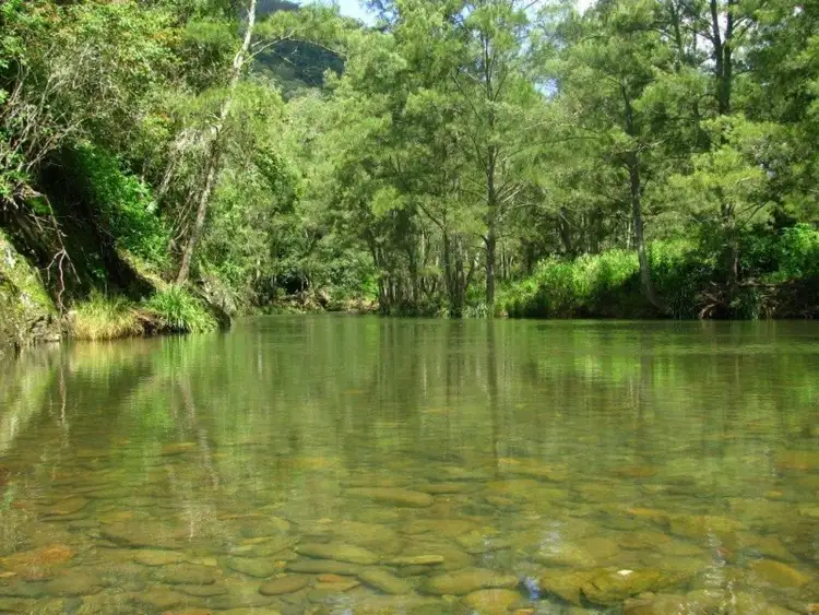 Second view of Homely rural property listing, 3012 Thunderbolts Way, Gloucester NSW 2422