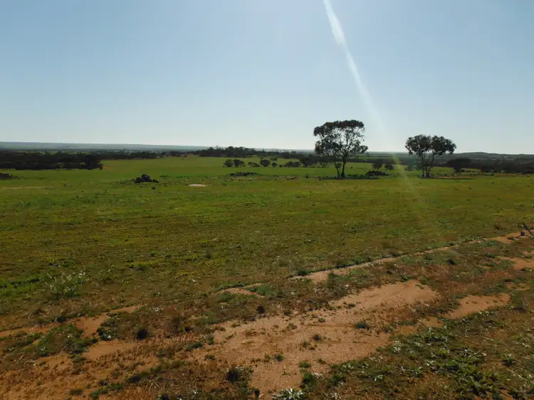 Second view of Homely rural property listing, LOT 1340 Daddow Road, Mukinbudin WA 6479