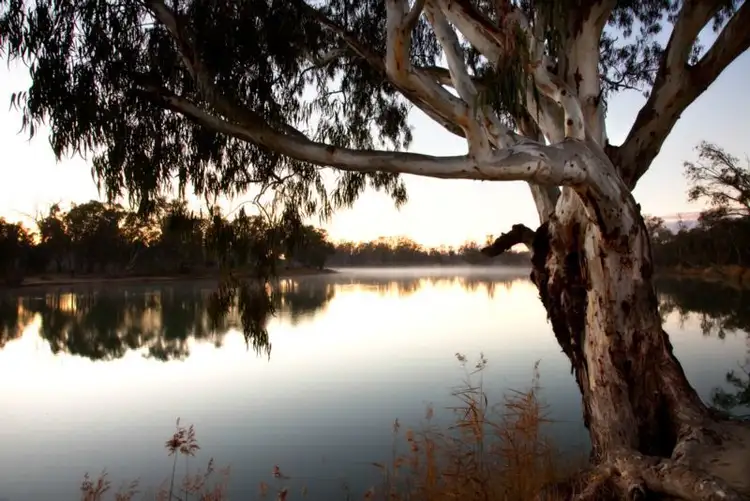 Sixth view of Homely land listing, 764 Cureton Avenue, Nichols Point VIC 3501