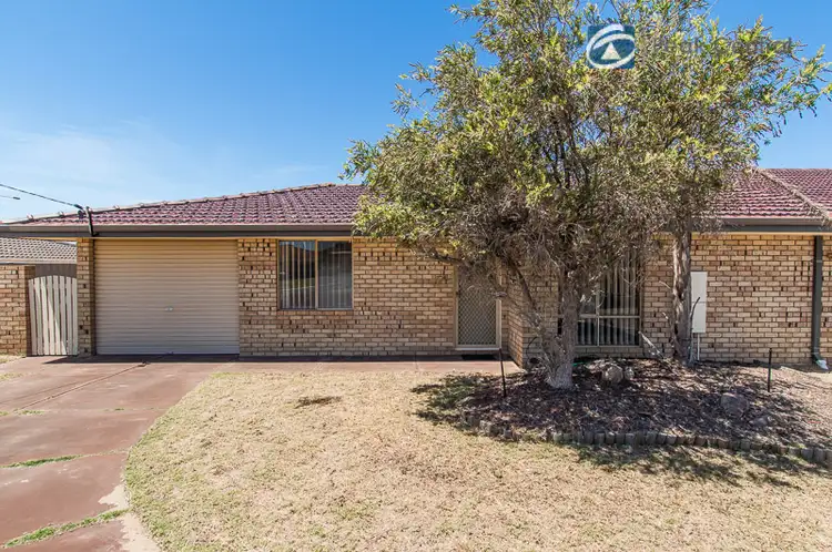 Main view of Homely house listing, 26a Torenia Way, Yangebup WA 6164