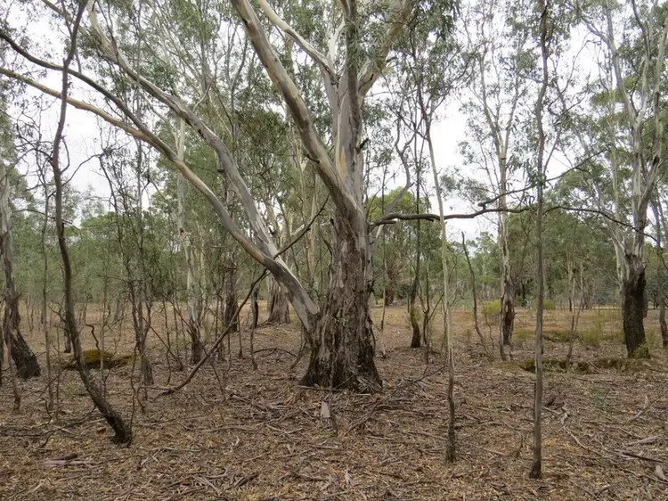LOT 7 Corbett Street, Graytown VIC 3608