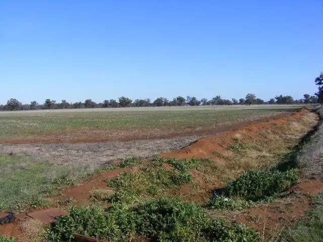Sixth view of Homely rural property listing, 1376-1386 Centre Road, Moama NSW 2731