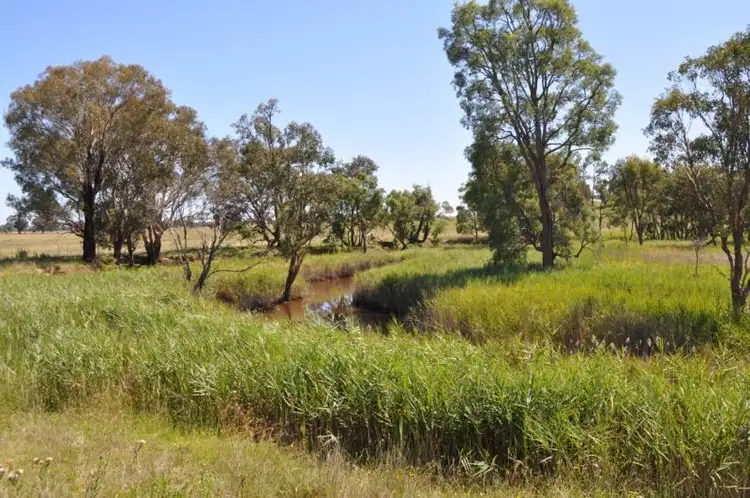 Sixth view of Homely rural property listing, 596 Cope Road, Gulgong NSW 2852
