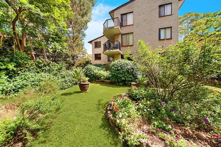Main view of Homely apartment listing, 25/205 Waterloo Road, Marsfield NSW 2122