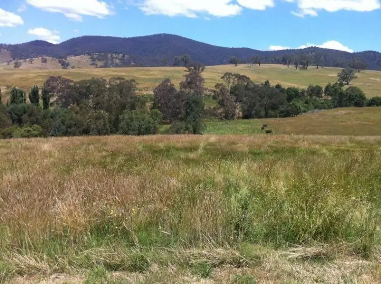 Third view of Homely rural property listing, The Knob Kings Road, Dargo VIC 3862